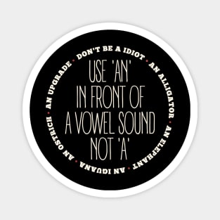 Don't be a Idiot Grammar Teacher Funny Design Magnet